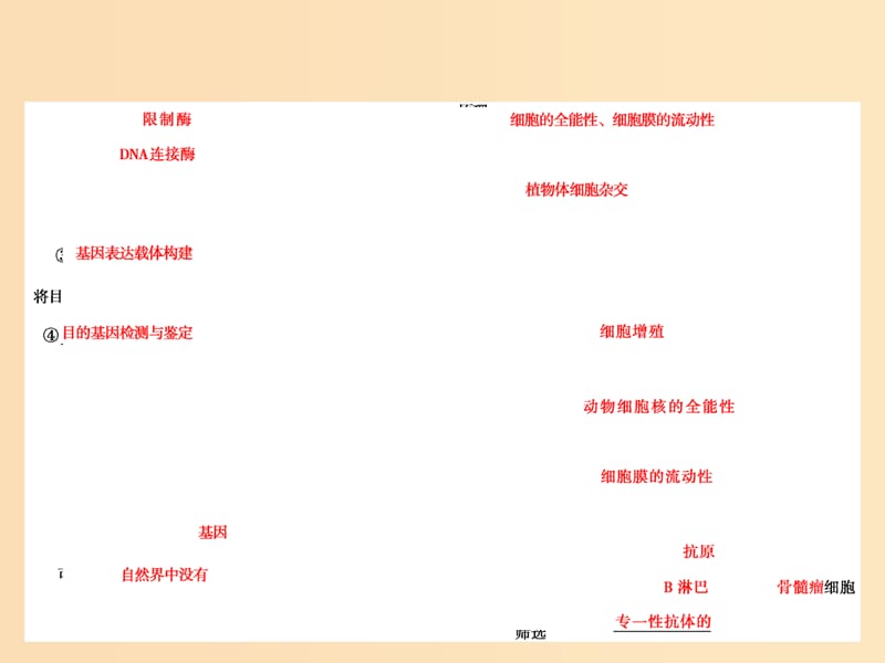 2018版高考生物二轮复习第一部分专题十六基因工程与细胞工程课件新人教版.ppt_第2页