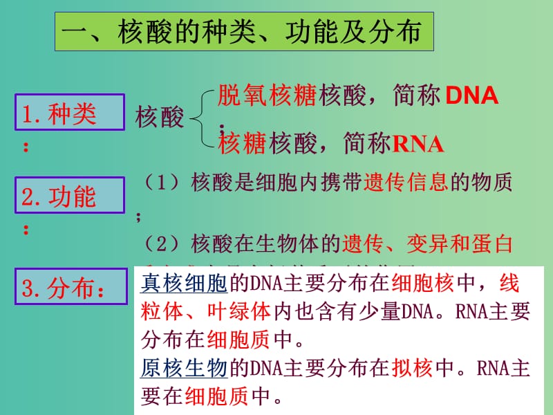 山西省晋城市高中生物 第二章 组成细胞的分子 2.3 遗传信息的携带者——核酸课件 新人教版必修1.ppt_第3页