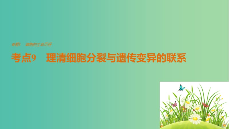 高考生物专题总复习考前三个月专题3细胞的生命历程考点9理清细胞分裂与遗传变异的联系课件.ppt_第1页