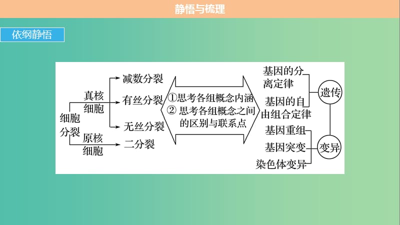 高考生物专题总复习考前三个月专题3细胞的生命历程考点9理清细胞分裂与遗传变异的联系课件.ppt_第3页