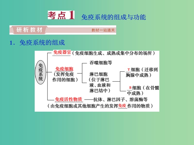 2019届高考生物一轮复习第八单元生命活动的调节第28讲免疫调节课件.ppt_第3页