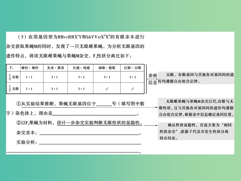 高考生物二轮专题复习 体系通关2 高频考点2 孟德尔定律、伴性遗传及人类遗传病课件.ppt_第3页