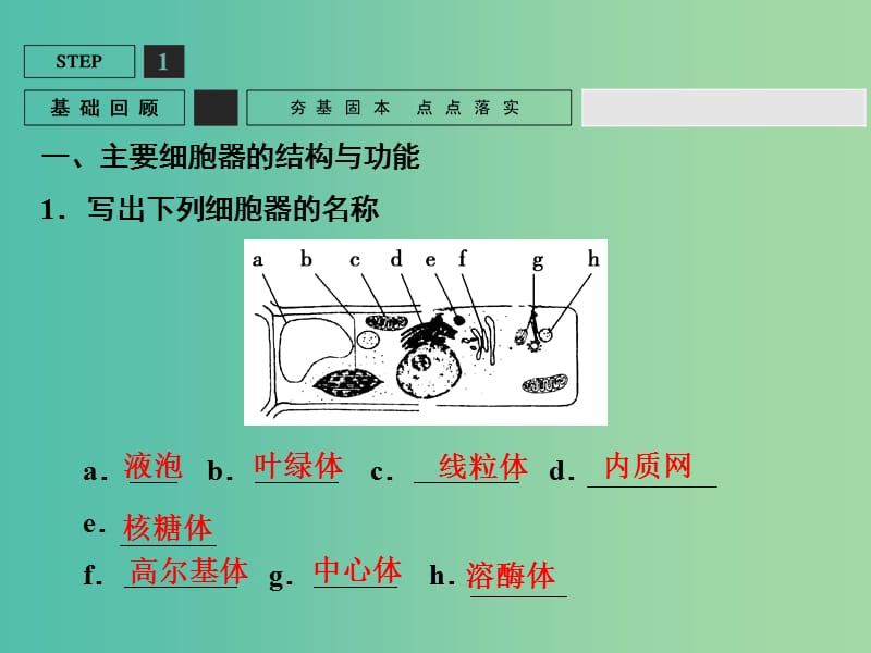 高考生物一轮复习 第2单元 基础课时案6 细胞器与生物膜系统课件 新人教版必修1.ppt_第3页