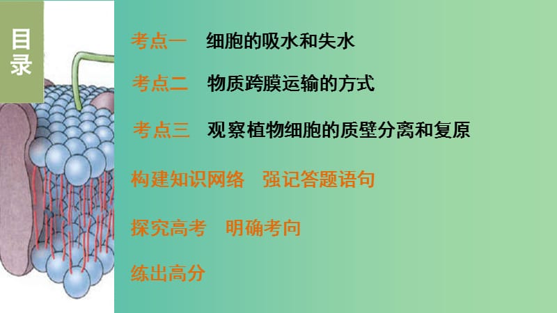 高考生物 第四章 细胞的物质输入和输出专题复习课件 新人教版必修1.ppt_第2页