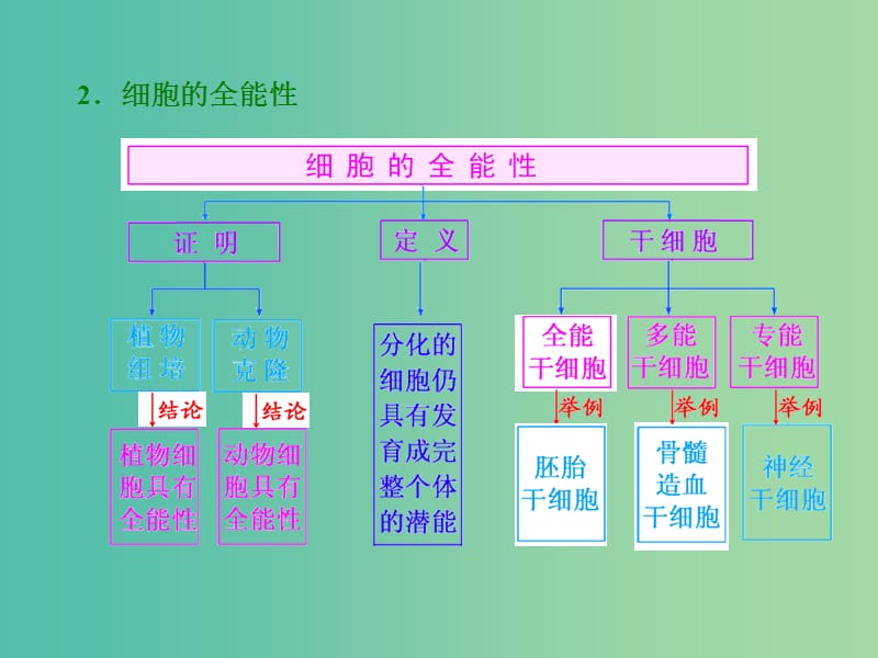 高考生物一轮复习 第四单元 第4讲 细胞的分化、衰老、凋亡和癌变课件 新人教版必修1.ppt_第3页