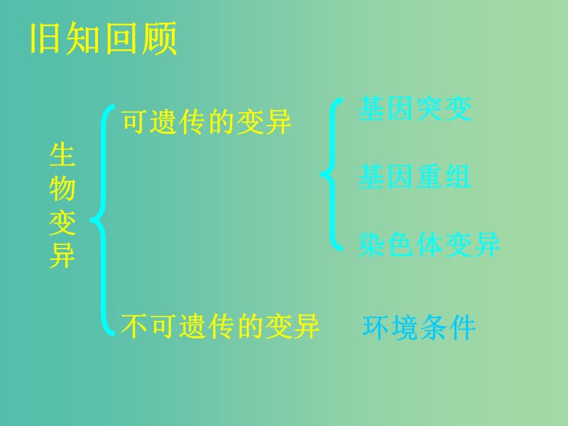 广东省平远县高中生物 5.2 染色体变异课件 新人教版必修2.ppt_第2页