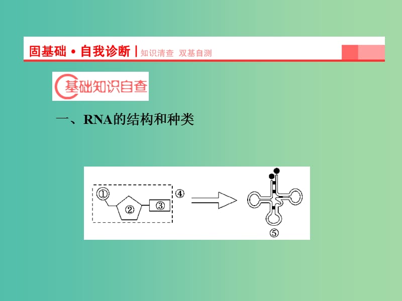 高考生物第一轮复习 第二单元 第3讲 基因的表达课件 新人教版必修2.ppt_第2页