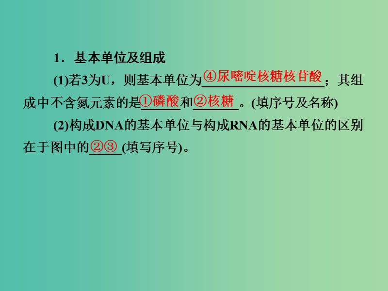 高考生物第一轮复习 第二单元 第3讲 基因的表达课件 新人教版必修2.ppt_第3页