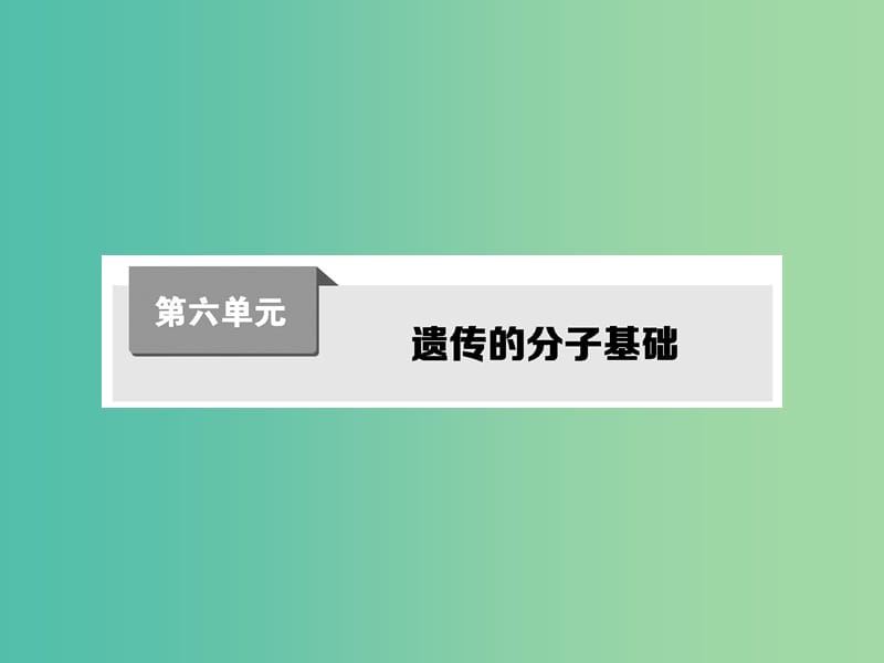 高考生物第一轮复习 第六单元 遗传的分子基础课件 新人教版.ppt_第1页