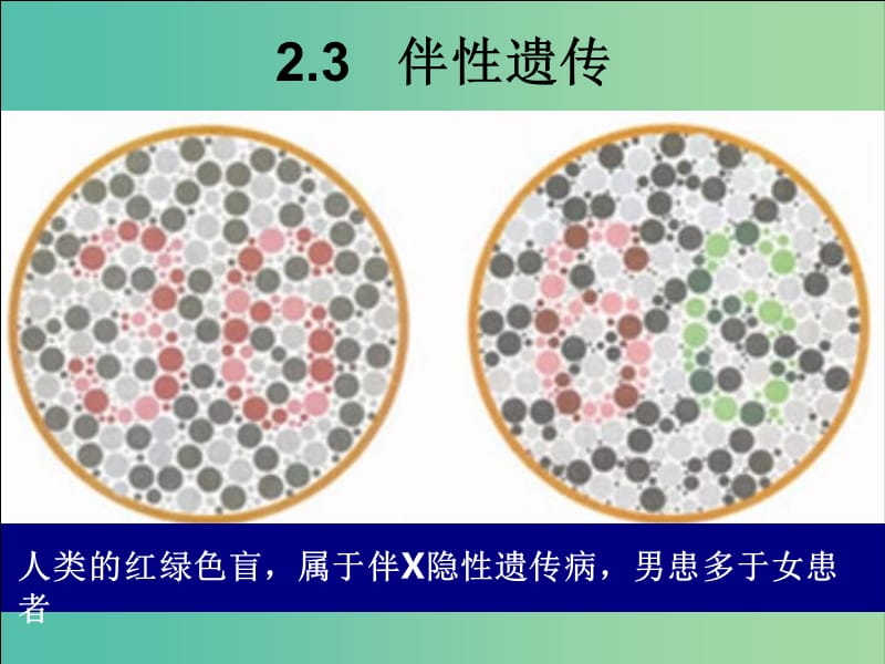 江西省南昌市高中生物 第二章 基因和染色體的關(guān)系 2.3 伴性遺傳課件 新人教版必修2.ppt_第1頁