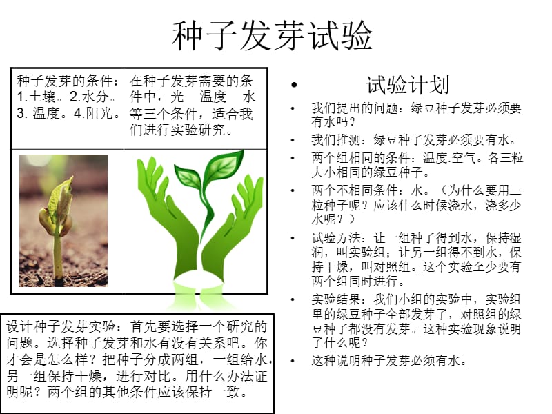 《种子发芽试验》PPT课件.ppt_第1页