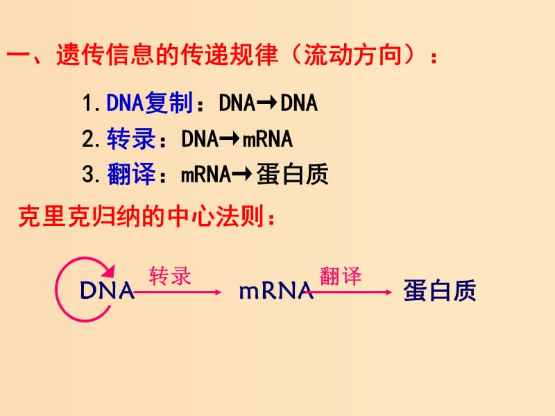 2018-2019学年高中生物 第4章 第2节 基因对性状的控制 设计三 基因对性状的控制课件 新人教版必修2.ppt_第2页