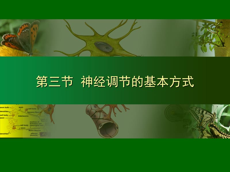 七年级生物第六章第3节.ppt_第1页