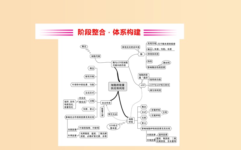 2018-2019学年高中生物 第五章 细胞的能量供应和利用阶段整合课件 新人教版必修1.ppt_第2页