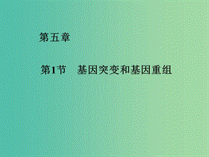 云南省峨山彝族自治縣高中生物 第五章 基因突變及其他變異 5.1《基因突變和基因重組》課件 新人教版必修2.ppt