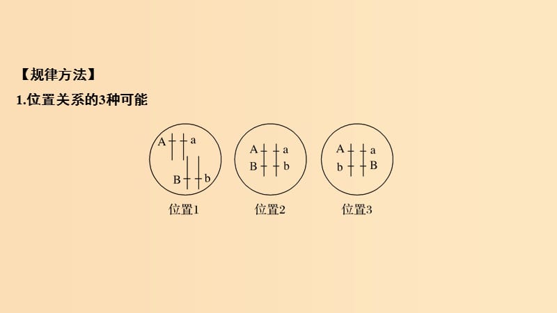 2019版高考生物总复习 第一部分 非选择题必考五大专题 专题二 遗传规律 重点题型3 AaBb个体中两对基因的位置关系确定课件.ppt_第2页