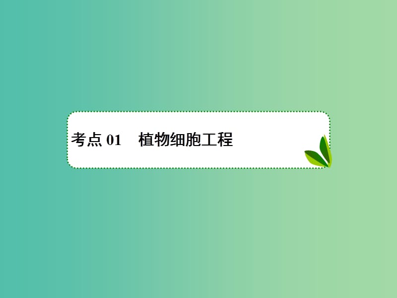 2019年高考生物一轮复习 2-3-11-41 细胞工程课件.ppt_第3页