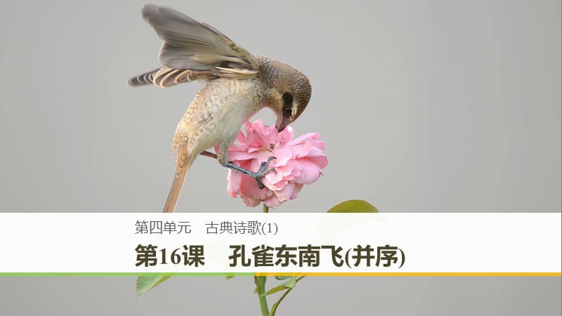 2018-2019版高中語(yǔ)文 第四單元 古典詩(shī)歌 第16課 孔雀東南飛（并序）課件 粵教版必修1.ppt_第1頁(yè)