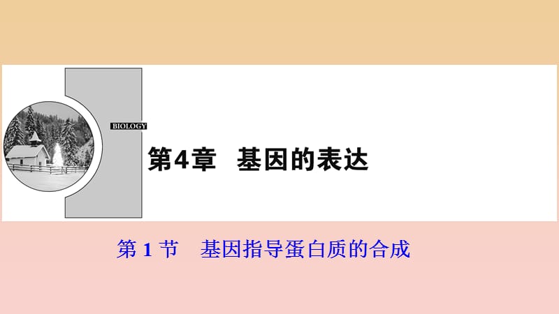 2017-2018学年高中生物 第四章 基因的表达 第1节 基因指导蛋白质的合成课件 新人教版必修2.ppt_第1页