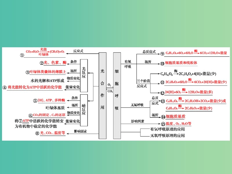 2019高考生物二轮复习 专题二 细胞的代谢 第二讲 光合作用与细胞呼吸课件.ppt_第3页