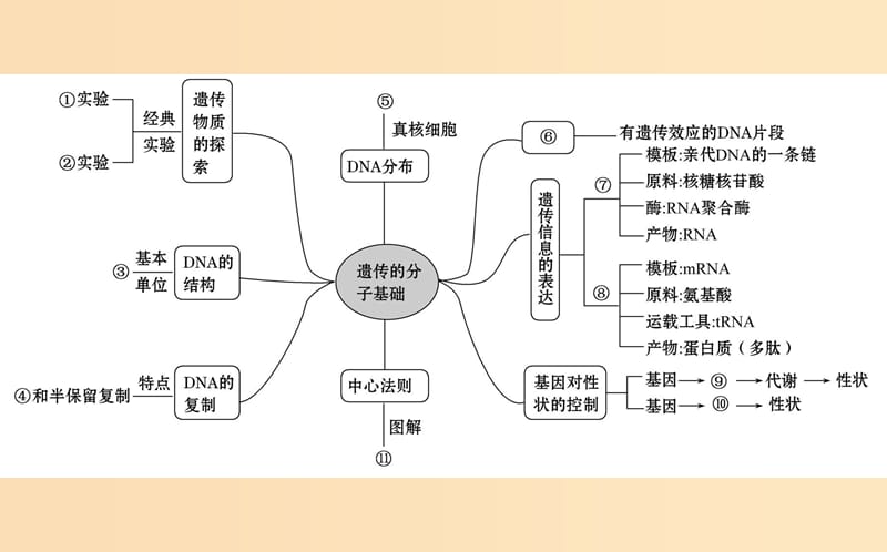 2019版高考生物二轮复习专题五遗传的分子基次件.ppt_第2页