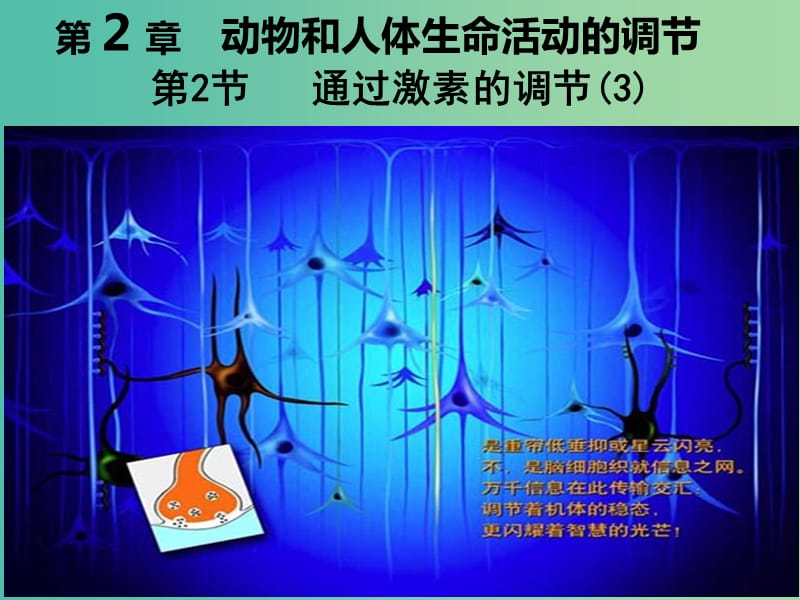 江西省吉安县高中生物 第二章 动物和人体生命活动的调节 2.2 通过激素的调节（3）课件 新人教版必修3.ppt_第1页