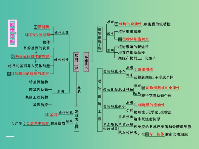 高考生物二轮复习 第一部分 专题六 生物科技系统 第1讲 基因工程与克隆技术课件.ppt_第2页