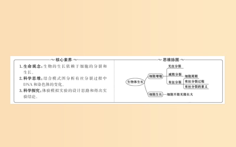 2018-2019学年高中生物 第六章 细胞的生命历程 第一节 细胞的增殖 6.1课件 新人教版必修1.ppt_第2页