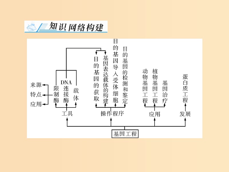 2019版高考生物一轮总复习 现代生物科技专题章末知识提升课件 选修3.ppt_第2页