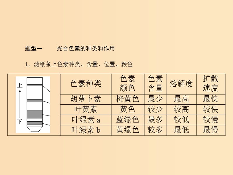 2019版高考生物一轮总复习 第5章 细胞的能量供应和利用 小专题三 光合作用和呼吸作用题型突破课件 必修1.ppt_第2页