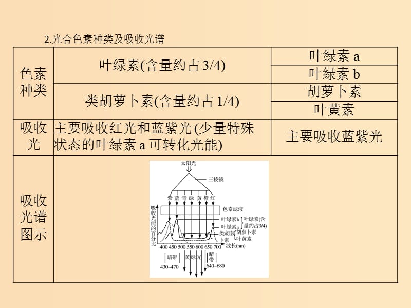 2019版高考生物一轮总复习 第5章 细胞的能量供应和利用 小专题三 光合作用和呼吸作用题型突破课件 必修1.ppt_第3页