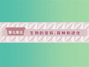 2019屆高考生物一輪復(fù)習(xí) 第七單元 生物的變異、育種和進(jìn)化 第22講 基因突變和基因重組課件.ppt