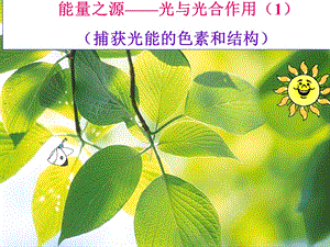 四川省成都市高中生物 第五章 細胞的能量供應和利用 5.4.1 捕獲光能的色素和結構課件 新人教版必修1.ppt