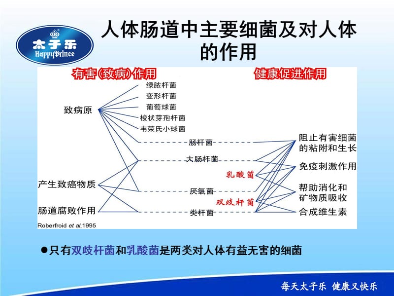 《金装a乳清蛋白》PPT课件.ppt_第3页