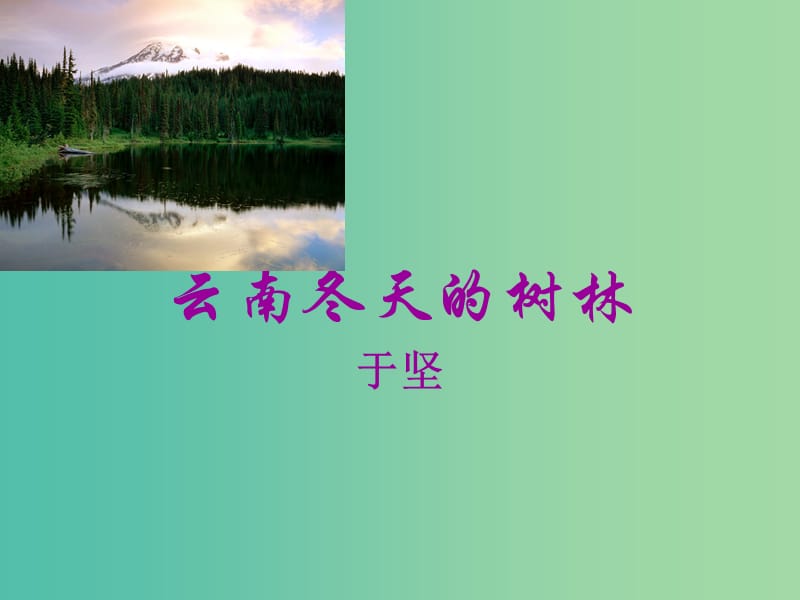 江蘇省響水中學高中語文 4 云南冬天的樹林課件 蘇教版選修《現(xiàn)代散文選讀》.ppt_第1頁