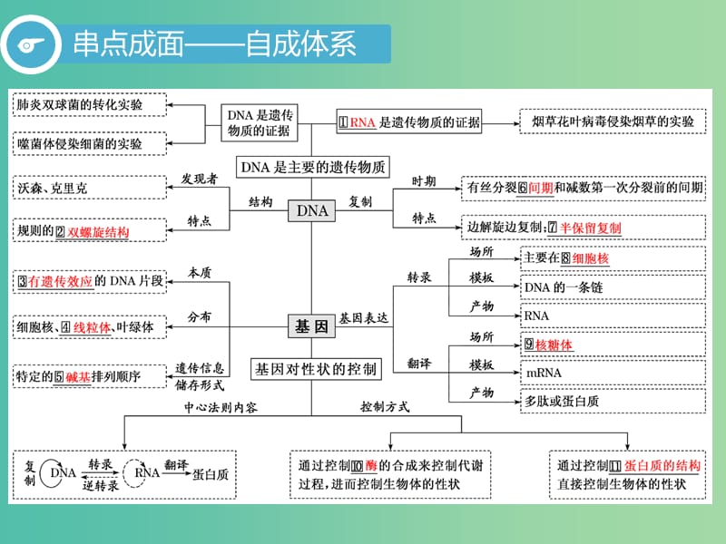 2019高考生物二轮复习 专题三 遗传 第1讲 遗传的分子基础 第Ⅰ课时 基础自查——学生为主体 抓牢主干以不变应万变课件.ppt_第3页