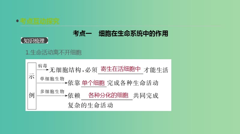 2019届高考生物一轮复习 第1单元 走近细胞与细胞的分子组成 第1讲 走近细胞课件.ppt_第3页