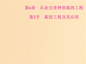 2018年秋高中生物 第六章 從雜交育種到基因工程 第2節(jié) 基因工程及其應(yīng)用課件 新人教版必修2.ppt