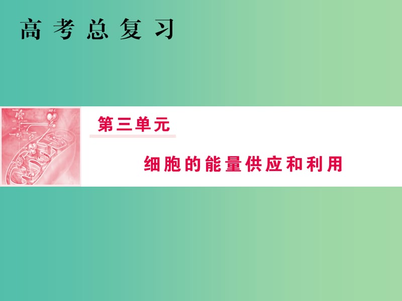 2019高考生物总复习 第三单元 细胞的能量供应和利用 第10讲 光与光合作用课件.ppt_第1页