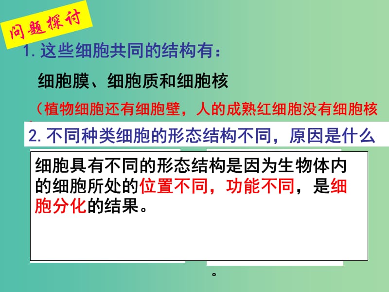 山西省晋城市高中生物 第一章 走近细胞 1.2 细胞的多样性和统一性课件 新人教版必修1.ppt_第3页