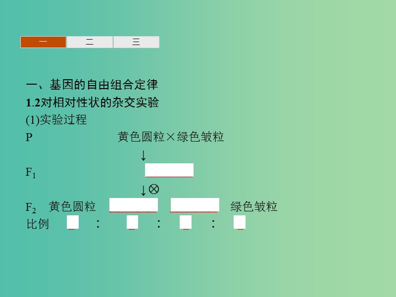 2019年高中生物第三章遗传和染色体3.2基因的自由组合定律课件苏教版必修2 .ppt_第3页