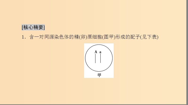 2018-2019高中生物 第2章 减数分裂和有性生殖 微专题突破 减数分裂形成配子的个数和种类课件 苏教版必修2.ppt_第2页