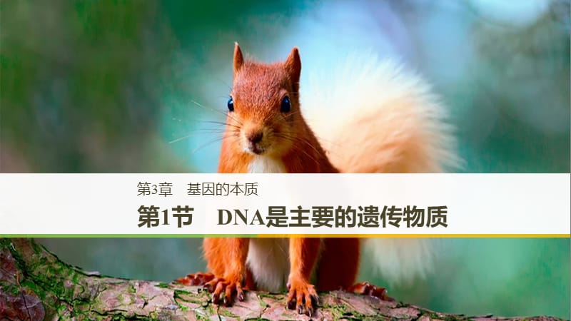 2018-2019學(xué)年高中生物 第3章 基因的本質(zhì) 第1節(jié) DNA是主要的遺傳物質(zhì)課件 新人教版必修2.ppt_第1頁(yè)