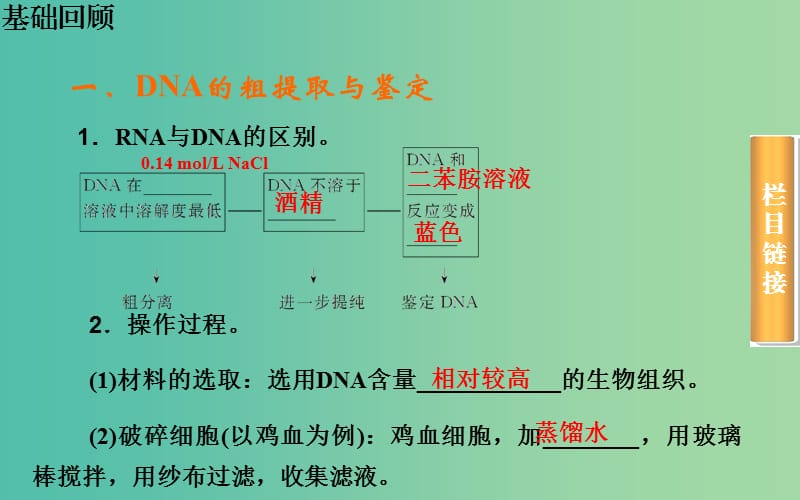 高考生物一轮复习 DNA和蛋白质技术课件.ppt_第3页