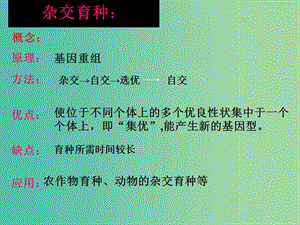 山東省沂水縣高中生物 第六章 從雜交育種到基因工程 6.2 基因工程及其應(yīng)用課件 新人教版必修2.ppt