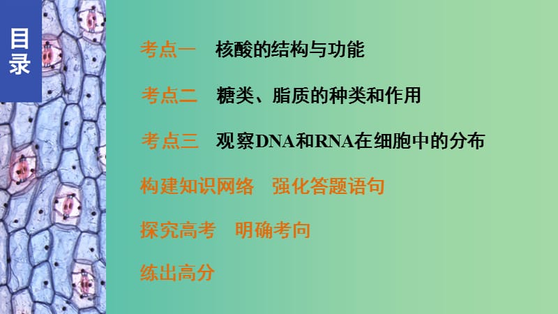 高考生物 遗传信息的携带者—核酸　课件 新人教版必修1.ppt_第2页