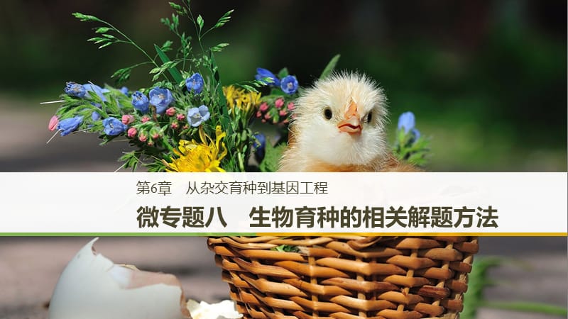 2018-2019學(xué)年高中生物 第6章 從雜交育種到基因工程 微專題八 生物育種的相關(guān)解題方法課件 新人教版必修2.ppt_第1頁(yè)