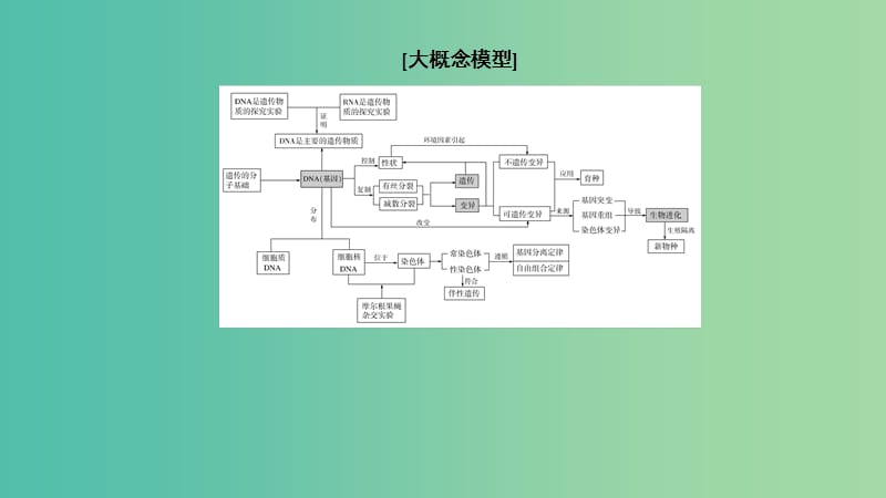 2019年高考生物大二轮复习第7讲遗传的分子基次件.ppt_第3页