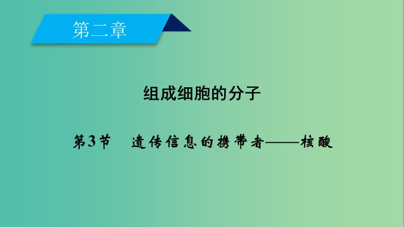 2019版高中生物 第二章 组成细胞的分子 第3节 遗传信息的携带者——核酸课件 新人教版必修1.ppt_第2页