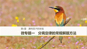 粵渝冀遼蘇皖閩鄂湘津京魯瓊專用2018-2019學(xué)年高中生物第1章遺傳因子的發(fā)現(xiàn)微專題一分離定律的常規(guī)解題方法課件新人教版必修2 .ppt